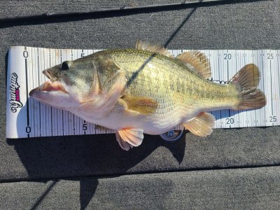 IMG_20230412_214344_055-new