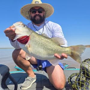 IMG_20240414_141714_237