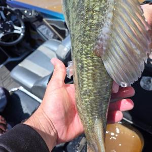 IMG_20240423_232015_916