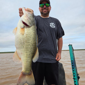 IMG_20240610_222011_044