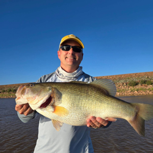 IMG_20240623_112807_965