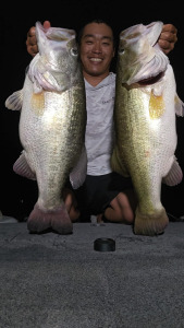 Messenger_creation_70091a90-3a06-4722-a077-b9eb39b49008