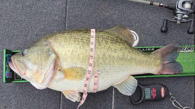 Messenger_creation_d408a550-53b5-44de-87c4-0db537d57af3