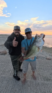 Snapshot_20260367_220345