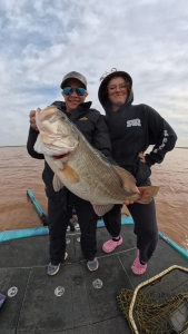 Snapshot_20260368_190338