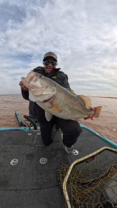 Snapshot_20260368_190351