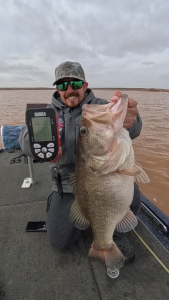 Snapshot_20260368_200385