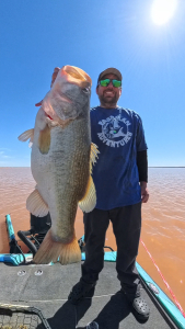 Snapshot_20260372_210314