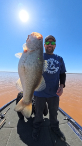 Snapshot_20260372_230311