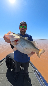 Snapshot_20260372_230344