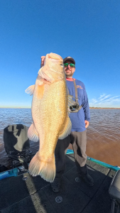 Snapshot_20260373_090395