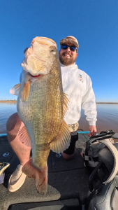 Snapshot_20260378_090352