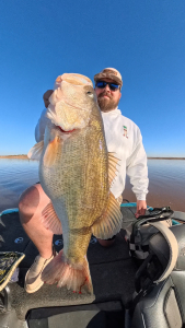 Snapshot_20260378_090367