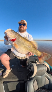 Snapshot_20260378_090372