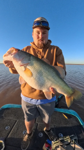 Snapshot_20260378_110392