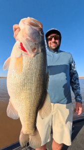 Snapshot_20260379_180307