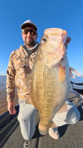 Snapshot_20260380_080300