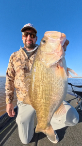 Snapshot_20260380_080368