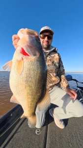 Snapshot_20260380_080390