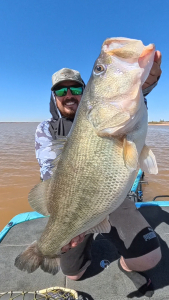 Snapshot_20260380_140332