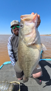 Snapshot_20260380_140354