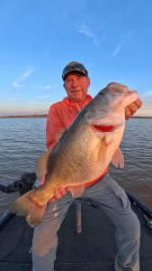 Snapshot_20260384_070314