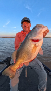 Snapshot_20260384_070362