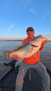 Snapshot_20260384_070375