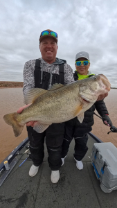 Snapshot_20260387_130377