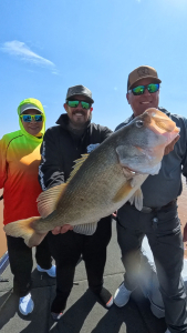 Snapshot_20260387_150309